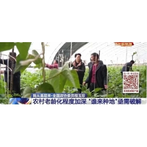两会∣农村人口老龄化严重，如何破解“谁来种药材”难题！