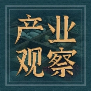 全国人大代表于东霞：推进中医药全产业链发展 让道地药材更“地