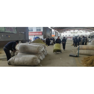 平邑金银花药材产地价格(2024.03.07)