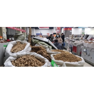 今日亳州市场中药材行情