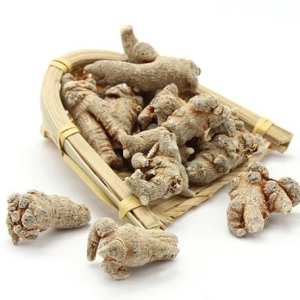 产地信息及时快讯（3.8）