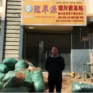 2024年3月17日宕昌理川中药材产地快讯