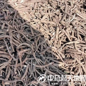 趋势向好的牡丹皮高位续高 未来还会再创新高吗？