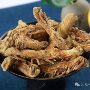 亳州市场快讯（3.20）