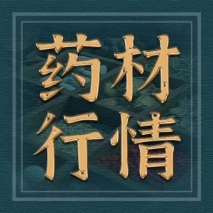今日亳州安国药材行情｜砂仁走销加速，蓄势待发！通草货少价升、猪苓疲软下行，中药材