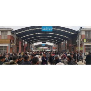 平邑金银花药材产地价格(2024.04.06)