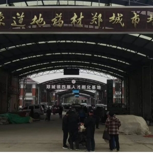 平邑山楂药材产地价格(2024.04.06）