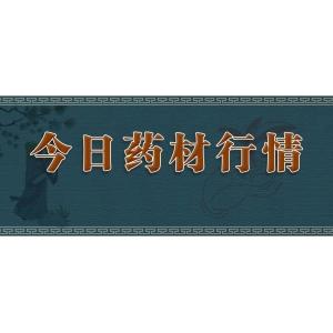 今日亳州安国药材行情｜亳州地产药材升势显著！何首乌、牡丹皮“风头正劲”，白芍、白