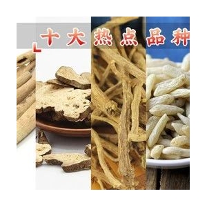 十大热点品种