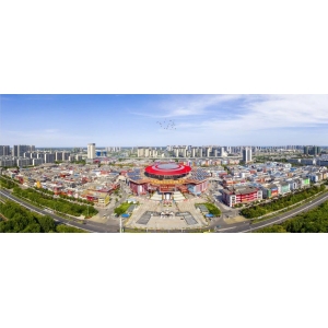 今日亳州市场中药材行情