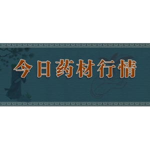 今日亳州安国药材行情｜甘草“涨势点燃豁然开朗”！板蓝根“小幅下挫瑕不掩瑜”！中药