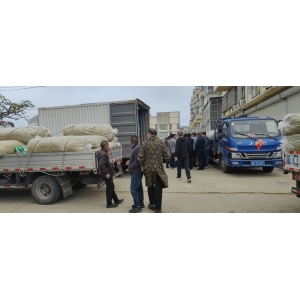 平邑金银花药材产地价格(2024.04.13)