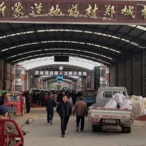 平邑山楂药材产地价格(2024.04.17）