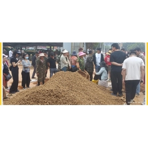 文山三七产业协会三七行情参考（2024年4月15日-4月17日）