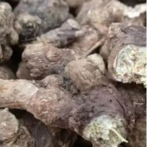 四月中药材产新中，哪些品种会上涨？