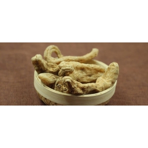 4月22日国家级万良人参市场最新价格