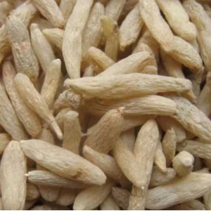 2024年4月22日川麦冬产地快讯