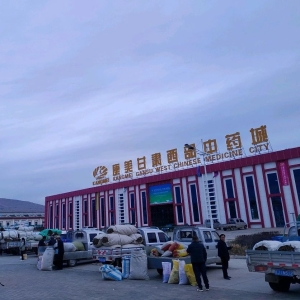 2024年4月21日文峰康美中药材市场快讯（黄芩、款冬花关注人气旺）