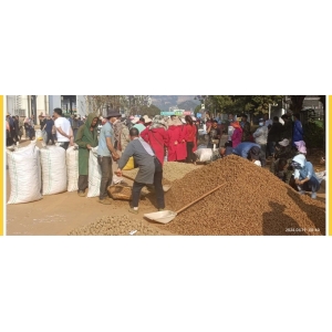 文山三七产业协会三七行情参考（2024年4月18日-4月21日）