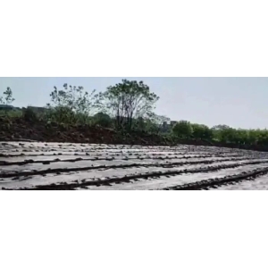 药财有道 | 如何看待防己的盈亏平衡点？