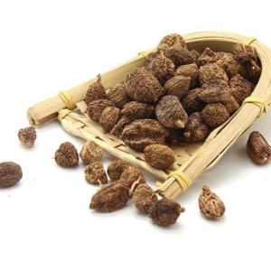 产地信息及时快讯