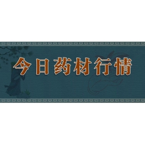 天塌了！猫爪草报复性指数级惨跌，一夜回到“解放前”！天亮了！