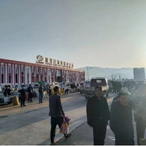 2024年4月27日文峰康美中药材市场快讯