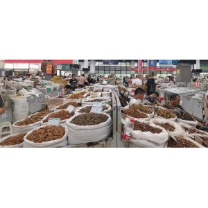 一周行情总结：数据周报：高位震荡，胖大海大批应市，骨碎补上升