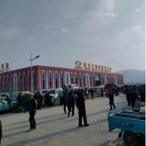 2024年5月4日文峰康美中药材市场快讯