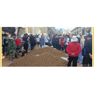 文山三七产业协会三七行情参考（2024年4月25日-4月28日）