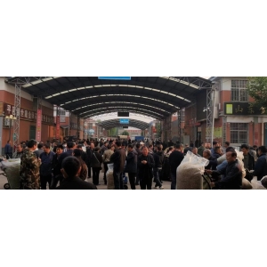 平邑金银花药材产地价格(2024.05.07)