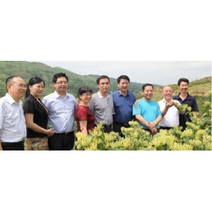 刘红卫专栏：我国各省中药材种植面积及中药材产业现状（一）