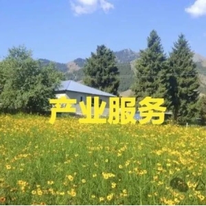 行业参考：新手种植中药材有哪些注意事项？