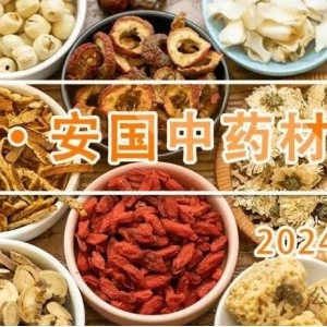 安国中药材价格指数回升至近期高位