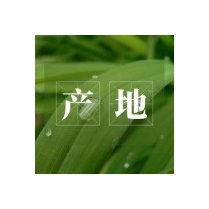 今日中药材产地快讯
