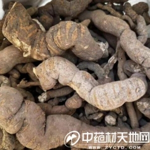 防己直逼200元大关 其未来仍有上升潜力