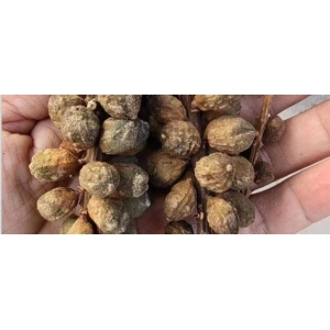 益智近年涨后必掉的市场规律能否打破？