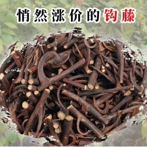 悄然涨价的钩藤