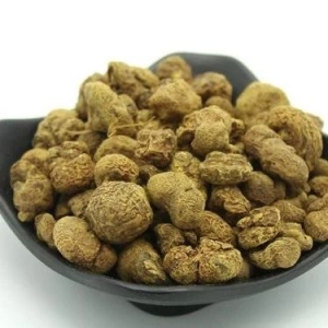 产地信息及时快讯