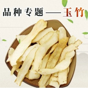 品种专题--玉竹