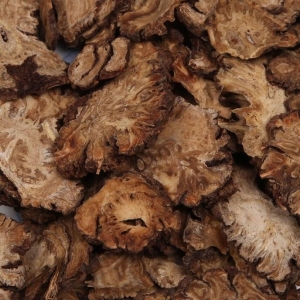 产地信息及时快讯