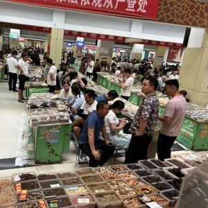 产业观察|市场行情之浅见