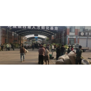 平邑金银花药材产地价格(2024.05.25）