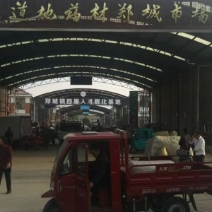 平邑山楂药材产地价格(2024.05.25）