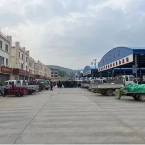 2024年6月3日宕昌县哈达铺产地快讯