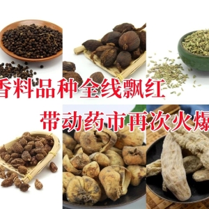 香料品种全线飘红 带动药市再次火爆
