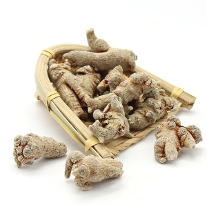 产地信息及时快讯