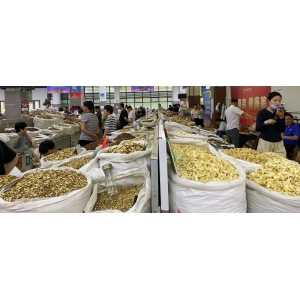 今日亳州市场中药材行情