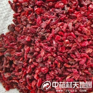 热点：山茱萸争议不断 后市价格或继续“高升”?