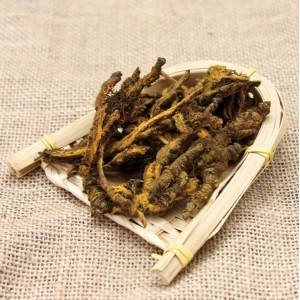 产地信息及时快讯